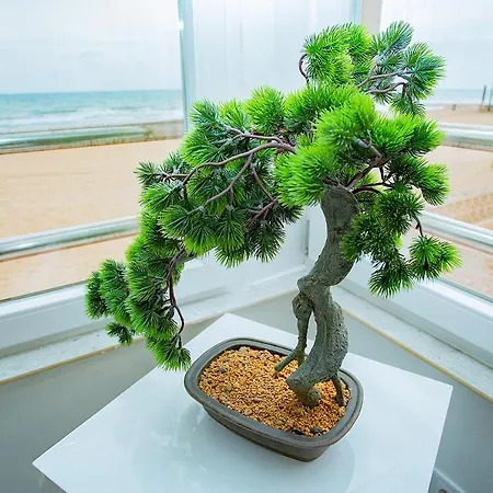 009 Magic Sea View - Alicante Apartment